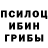 Псилоцибиновые грибы Psilocybine cubensis KIYAS SEYLXANOV
