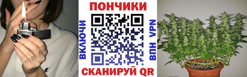 купить   кракен ТОР  Шишки марихуана конопля  Бикин 